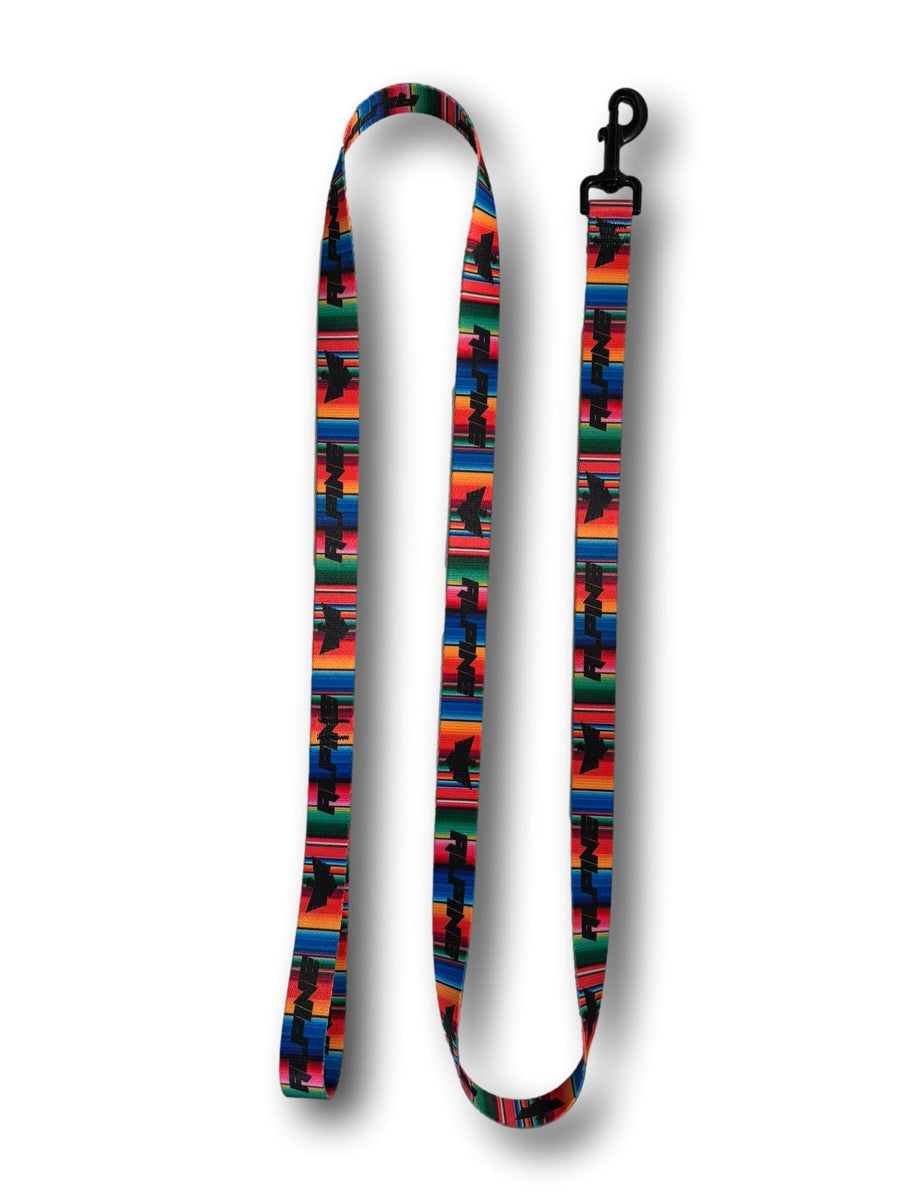 Clearance- ALPINE Dog Leash – Alpine Offroad